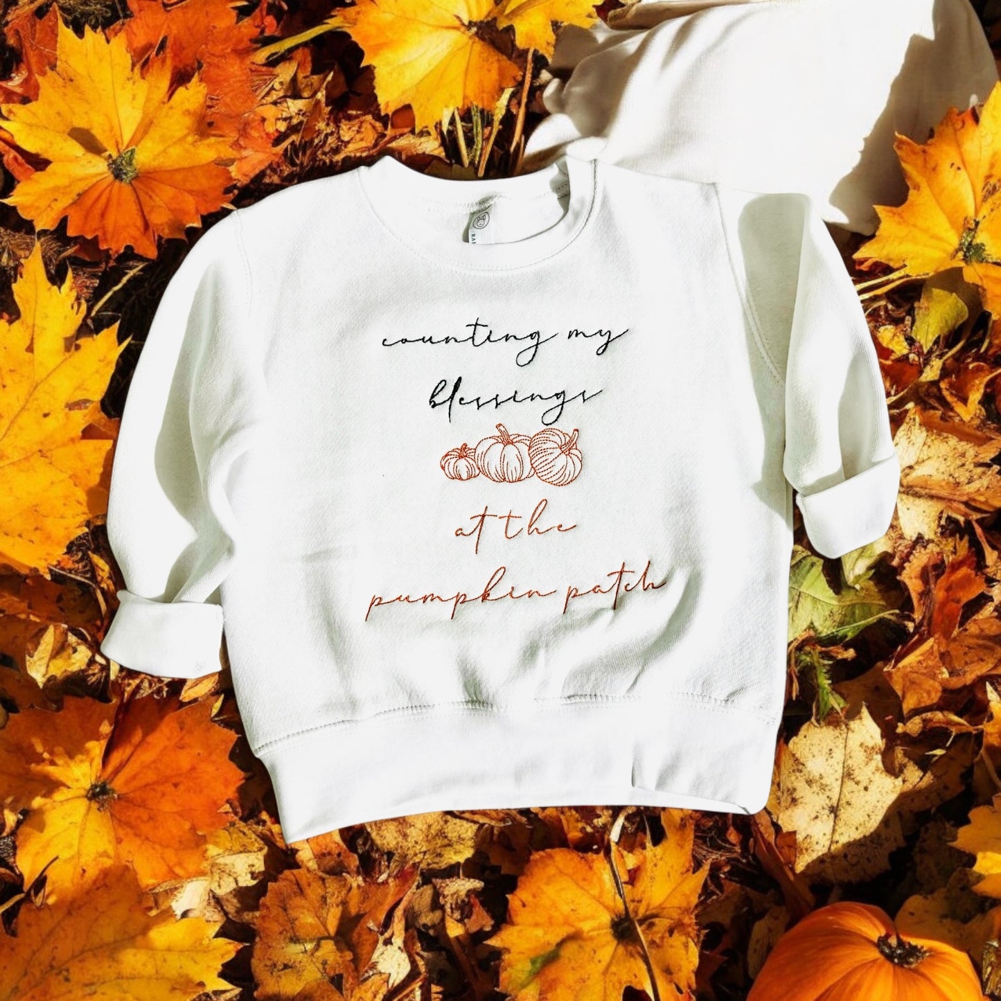 Counting My Blessing At the Pumpkin Patch Sweatshirt, Embroidered Toddler Sweatshirt, Fall Vibes Toddler Sweatshirt, Pumpkin Style Toddler Sweatshirt