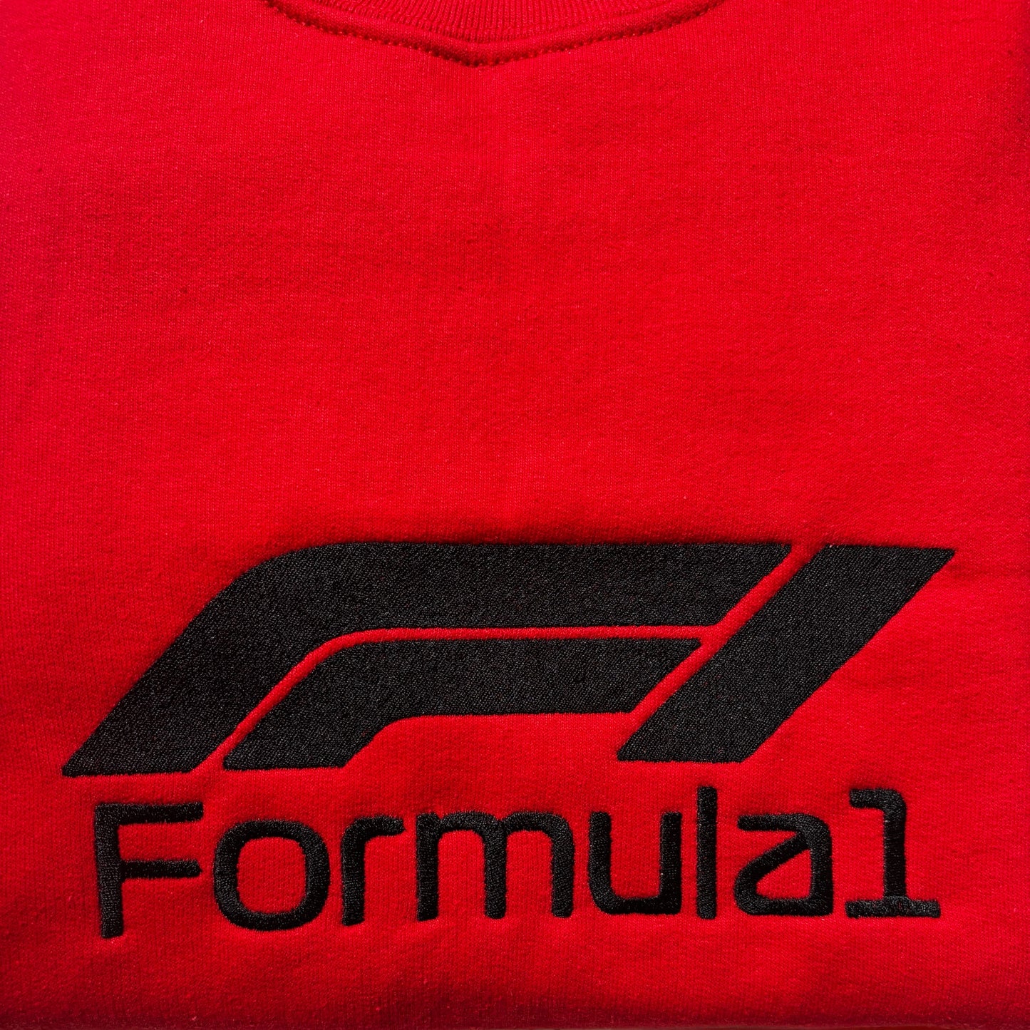 Formula 1 Youth Sweatshirt, F1 Sweatshirt, F1 Fan Sweatshirt, Embroidered Unisex Youth Gift